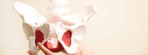 Pelvic Floor PT, Freehold NJ