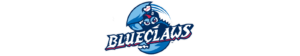 Official Physical Therapy Provider for the Lakewood Blueclaws