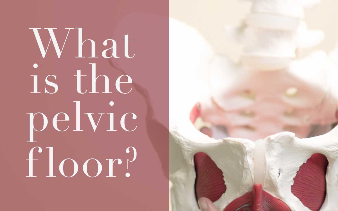 What is the pelvic floor